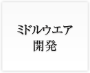 ミドルウェア開発